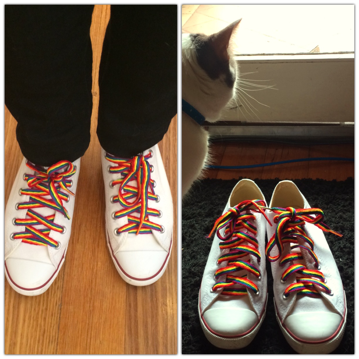 rainbow shoelaces converse